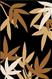 Carving-438